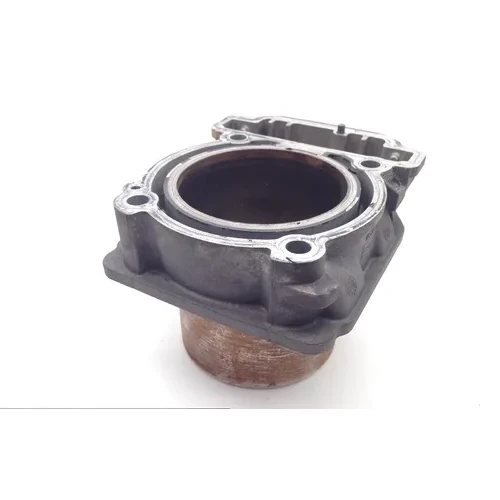 Commander 800 Engine Cylinder Jug Front From Can Am 2011 x 3