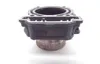 Commander 800 Engine Cylinder Jug Front From Can Am 2011 x