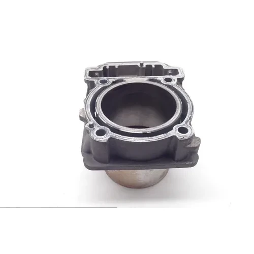 Commander 800 Engine Cylinder Jug Rear From Can Am 2011 x 7