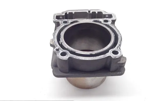 Commander 800 Engine Cylinder Jug Rear From Can Am 2011 x