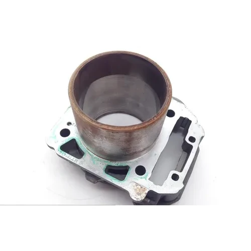 Commander 800 Engine Cylinder Jug Rear From Can Am 2011 x 9