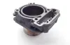 Commander 800 Engine Cylinder Jug Rear From Can Am 2011 x