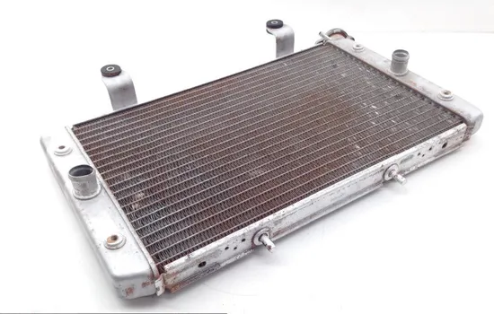 Engine Radiator Cooling 2013 Yamaha Rhino 700 YXR700FSP 4x4 Sport Edition 1753A