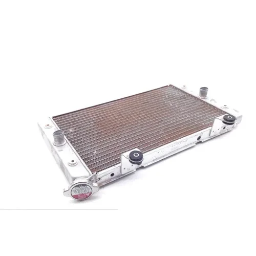 Engine Radiator Cooling 2013 Yamaha Rhino 700 YXR700FSP 4x4 Sport Edition 1753A 7