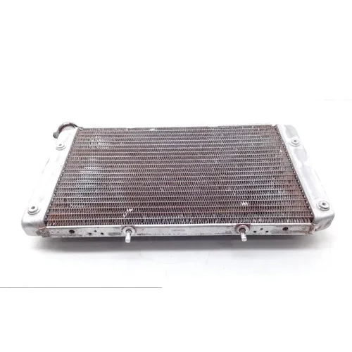 Engine Radiator Cooling 2013 Yamaha Rhino 700 YXR700FSP 4x4 Sport Edition 1753A 10