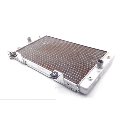 Engine Radiator Cooling 2013 Yamaha Rhino 700 YXR700FSP 4x4 Sport Edition 1753A 9