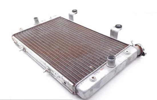 Engine Radiator Cooling 2013 Yamaha Rhino 700 YXR700FSP 4x4 Sport Edition 1753A