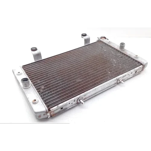 Engine Radiator Cooling 2013 Yamaha Rhino 700 YXR700FSP 4x4 Sport Edition 1753A 3