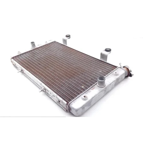 Engine Radiator Cooling 2013 Yamaha Rhino 700 YXR700FSP 4x4 Sport Edition 1753A 5