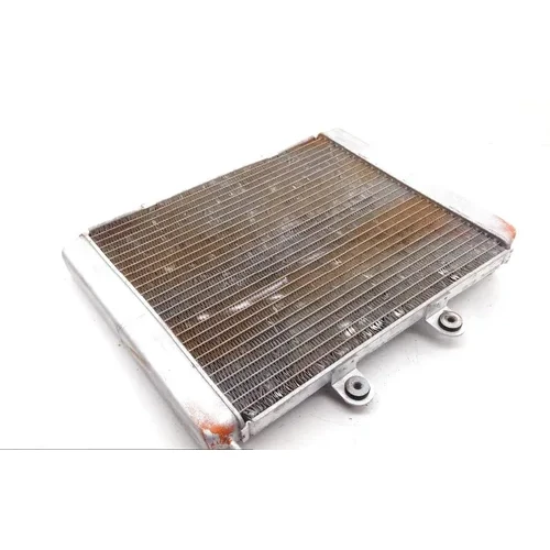 Engine Radiator Cooling 2008 Polaris RZR 800 EFI 1745 x 5