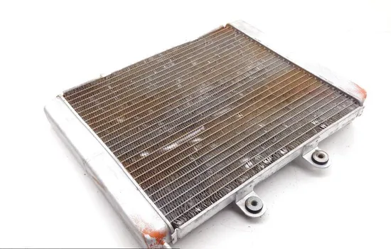 Engine Radiator Cooling 2008 Polaris RZR 800 EFI 1745 x