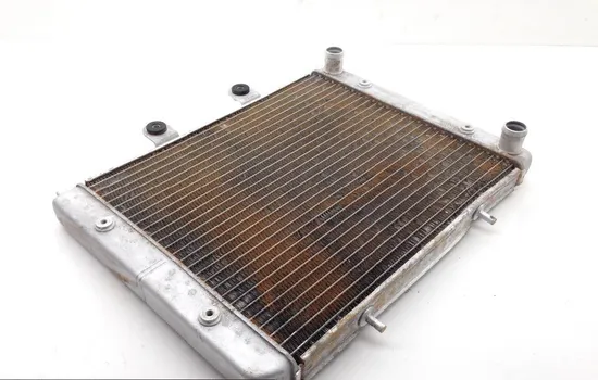 Engine Radiator Cooling 2008 Polaris RZR 800 EFI 1745 x