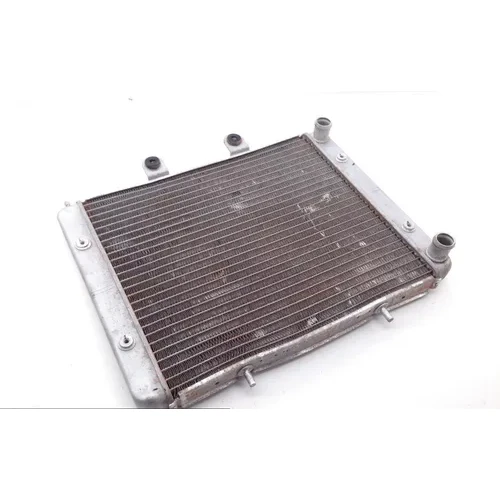 Engine Radiator Cooling 2013 Polaris RZR S 800 EFI 1781 x 3