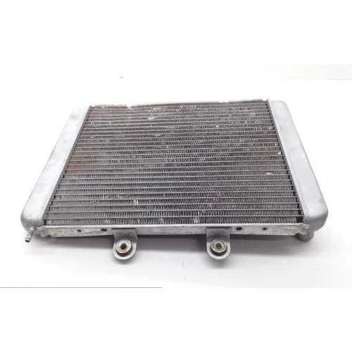 Engine Radiator Cooling 2013 Polaris RZR S 800 EFI 1781 x 10