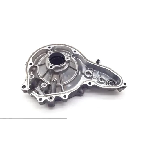 Rubicon 500 Outer Stator Cover from 2007 Honda TRX500FA 6