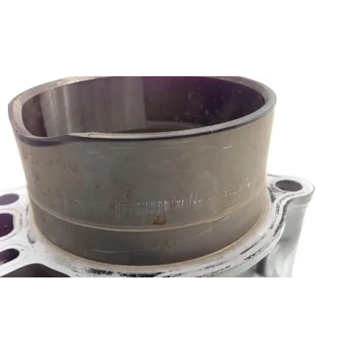 Engine Cylinder Jug W Piston Front 2003 Suzuki Vstrom 1000 DL1000 1761 7