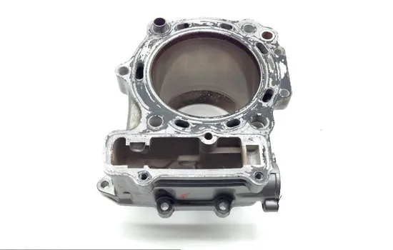 Engine Cylinder Jug W Piston Front 2003 Suzuki Vstrom 1000 DL1000 1761