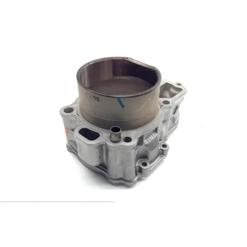 Engine Cylinder Jug W Piston Rear 2003 Suzuki Vstrom 1000 DL1000 1761 7
