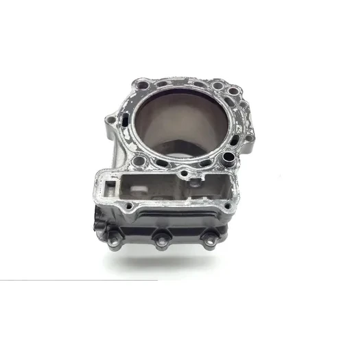 Engine Cylinder Jug W Piston Rear 2003 Suzuki Vstrom 1000 DL1000 1761 13