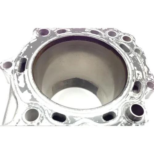 Engine Cylinder Jug W Piston Rear 2003 Suzuki Vstrom 1000 DL1000 1761 14