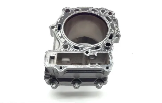 Engine Cylinder Jug W Piston Rear 2003 Suzuki Vstrom 1000 DL1000 1761