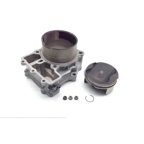 Engine Cylinder Jug W Piston Rear 2003 Suzuki Vstrom 1000 DL1000 1761 3