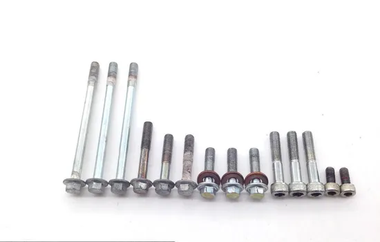 Rubicon 500 Outer Stator Cover From 2001 Honda TRX500FA 1747A