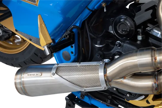 DS Black Steel Rear Passenger Mount Kit Male