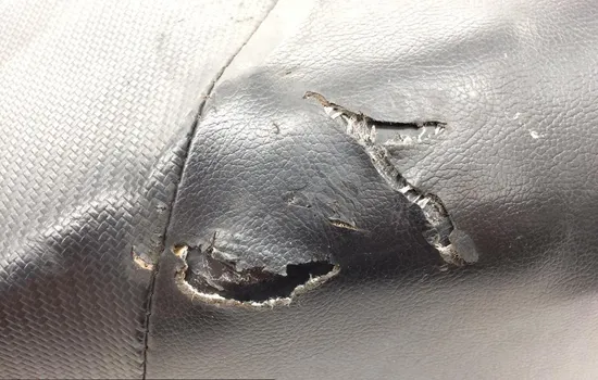 Right Side Passenger Seat Back Cushion 2013 Polaris RZR XP 900 LE EPS 1805 x