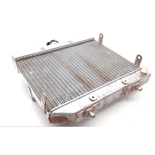 Rubicon 500 Engine Radiator Cooling from 2001 Honda TRX500FA 1813A 9