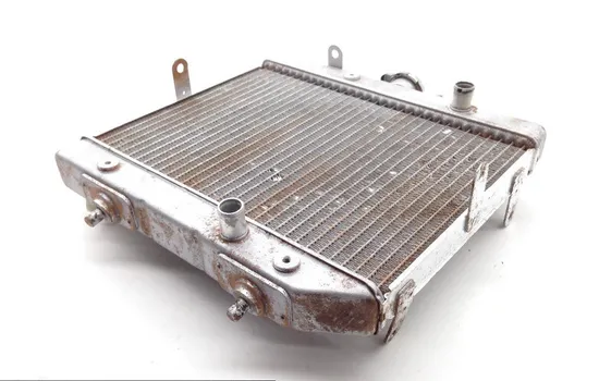 Rubicon 500 Engine Radiator Cooling from 2001 Honda TRX500FA 1813A