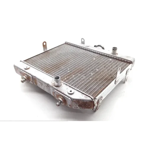 Rubicon 500 Engine Radiator Cooling from 2001 Honda TRX500FA 1813A 5