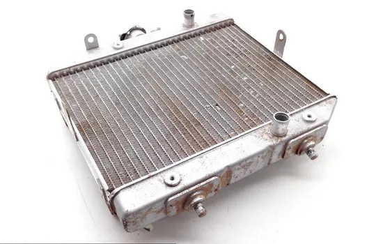 Rubicon 500 Engine Radiator Cooling from 2001 Honda TRX500FA 1813A