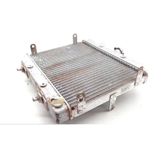Rubicon 500 Engine Radiator Cooling from 2001 Honda TRX500FA 1813A 10