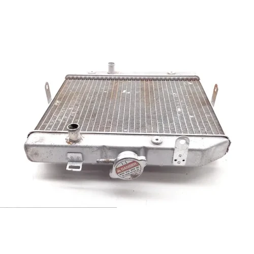 Rubicon 500 Engine Radiator Cooling from 2001 Honda TRX500FA 1813A 7