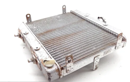 Rubicon 500 Engine Radiator Cooling from 2001 Honda TRX500FA 1813A