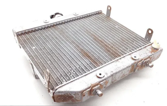 Rubicon 500 Engine Radiator Cooling from 2001 Honda TRX500FA 1813A