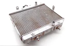 Rubicon 500 Engine Radiator Cooling from 2001 Honda TRX500FA 1813A