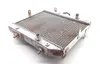 Rubicon 500 Engine Radiator Cooling from 2001 Honda TRX500FA 1813A