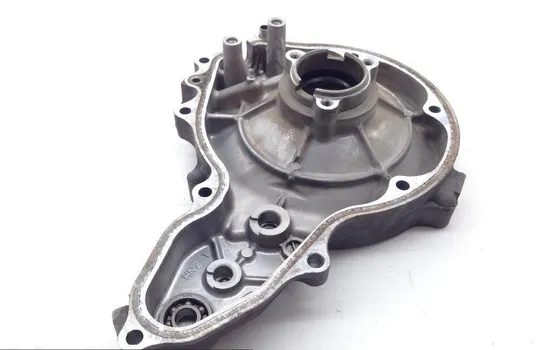 Rubicon 500 Outer Stator Cover from 2001 Honda TRX500FA 1813A