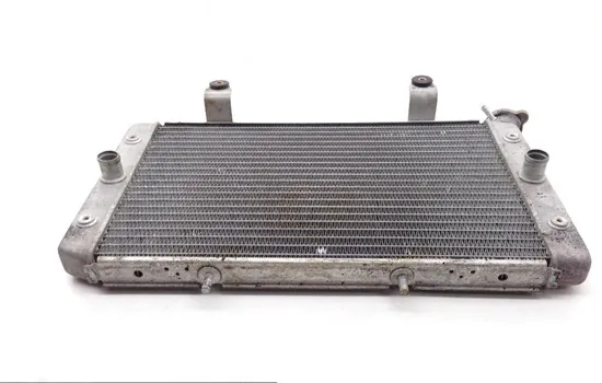 Engine Radiator Cooling 2013 Yamaha Rhino 700 YXR700F 4x4 FI 1829A