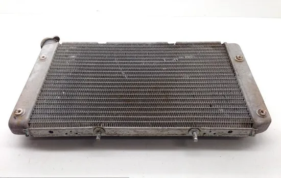 Engine Radiator Cooling 2013 Yamaha Rhino 700 YXR700F 4x4 FI 1829A