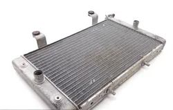 Engine Radiator Cooling 2013 Yamaha Rhino 700 YXR700F 4x4 FI 1829A