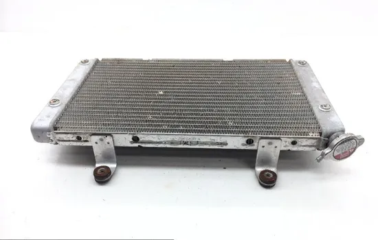 Engine Radiator Cooling 2013 Yamaha Rhino 700 YXR700F 4x4 FI 1828A