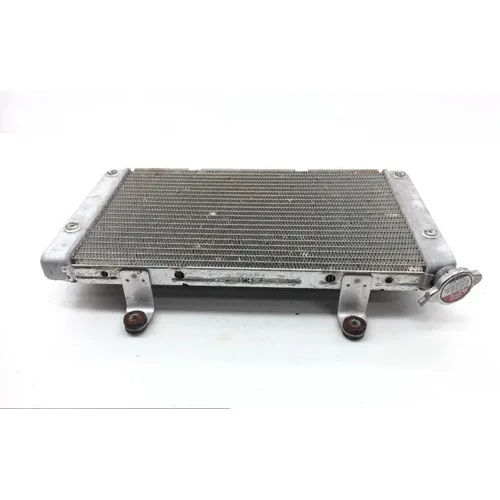 Engine Radiator Cooling 2013 Yamaha Rhino 700 YXR700F 4x4 FI 1828A 10