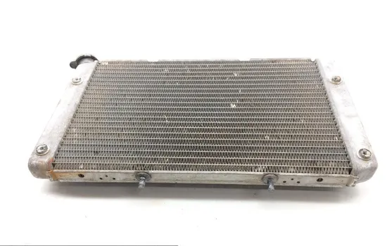 Engine Radiator Cooling 2013 Yamaha Rhino 700 YXR700F 4x4 FI 1828A