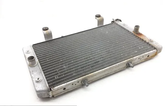 Engine Radiator Cooling 2013 Yamaha Rhino 700 YXR700F 4x4 FI 1828A