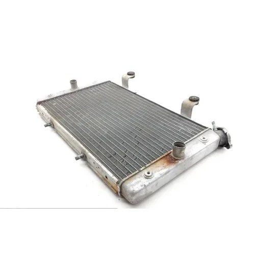 Engine Radiator Cooling 2013 Yamaha Rhino 700 YXR700F 4x4 FI 1828A 5