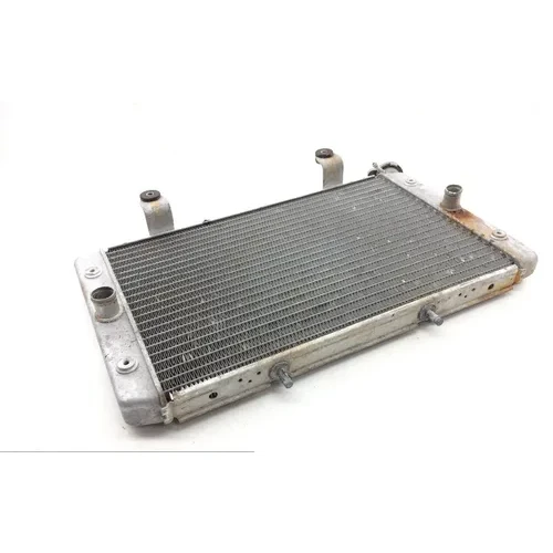 Engine Radiator Cooling 2013 Yamaha Rhino 700 YXR700F 4x4 FI 1828A 3
