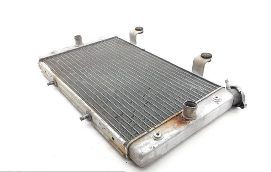 Engine Radiator Cooling 2013 Yamaha Rhino 700 YXR700F 4x4 FI 1828A